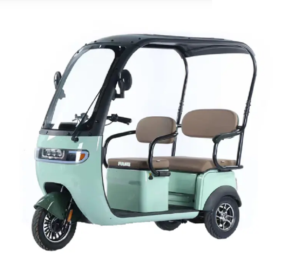 Gambol - Electric Trike 3 Wheel Electric Tricycle 48V20AMP - Assorted